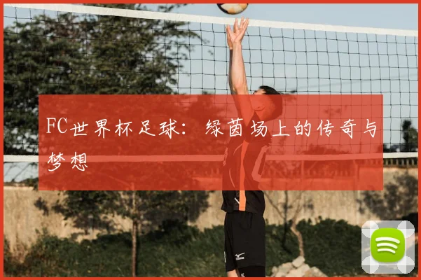 FC世界杯足球:绿茵场上的传奇与梦想