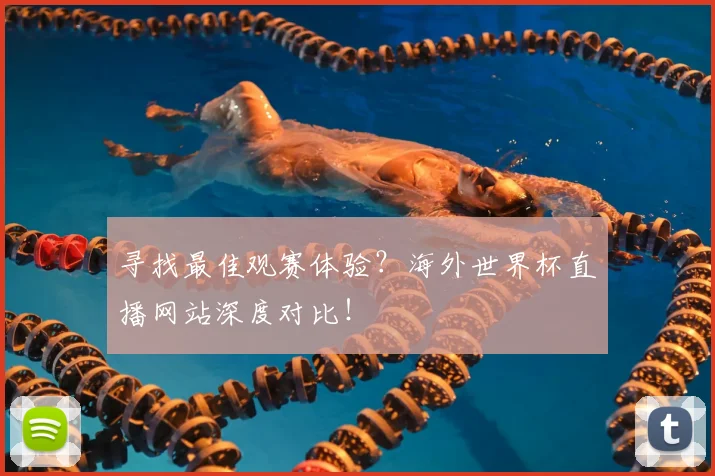 寻找最佳观赛体验？海外世界杯直播网站深度对比！