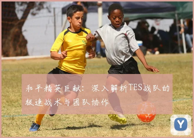 和平精英巨献:深入解析TES战队的极速战术与团队协作