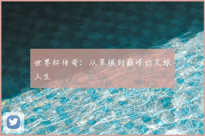 世界杯传奇:从草根到巅峰的足球人生