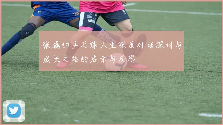 张磊的乒乓球人生深度对话探讨与成长之路的启示与反思