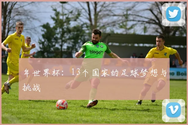 年世界杯:13个国家的足球梦想与挑战