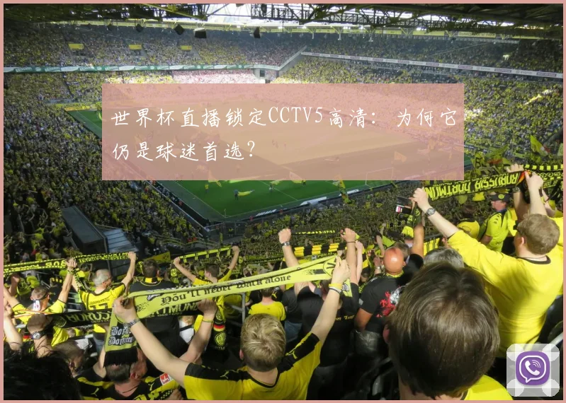 世界杯直播锁定CCTV5高清:为何它仍是球迷首选?