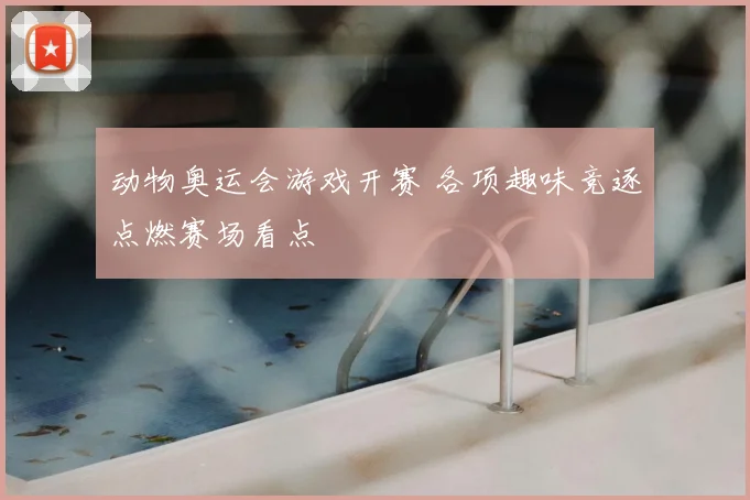 动物奥运会游戏开赛 各项趣味竞逐点燃赛场看点