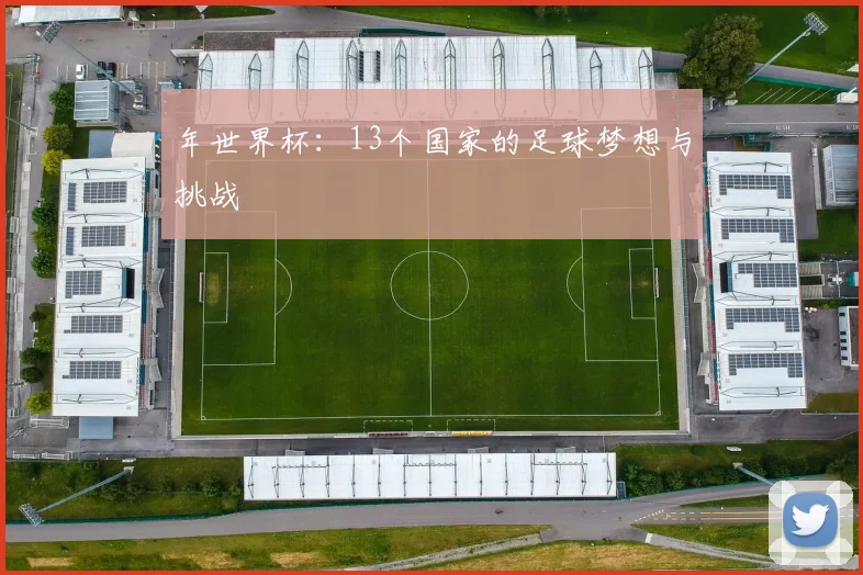 年世界杯:13个国家的足球梦想与挑战