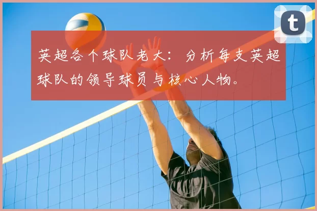 英超各个球队老大：分析每支英超球队的领导球员与核心人物。